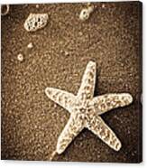 Beach Star Canvas Print