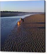 #beach #sunset #sand #dogs #bestfriends Canvas Print