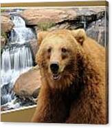 Bear Out Of Frame Canvas Print