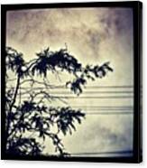 Beautifully #gloomy #stormy #storm #sky Canvas Print