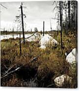 Beaver Pond Canvas Print