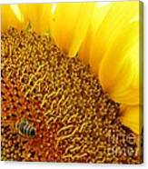 Bee Happy Canvas Print