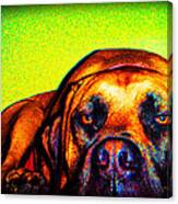 Beefy Girl In Bright Colors Canvas Print