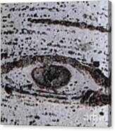 Birch Bark All-seeing Eye Canvas Print
