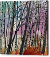 Birches At Dusk Canvas Print