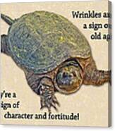 Birthday Card American Snapping Turtle Canvas Print