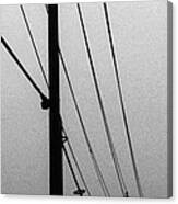 Black And White Poles In Fog Right View Canvas Print