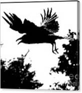 Black Bird Number 2 Canvas Print