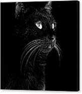 Black Portrait Canvas Print