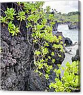 Black Sands Beach Hana Maui Hawaii Canvas Print