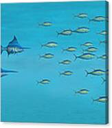 Blue Marlin And Yellowfin Tuna Canvas Print
