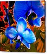 Blue Mystique Orchids Canvas Print