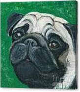 Bo The Pug Canvas Print