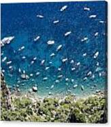 Boats In Capri Canvas Print