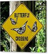 Butterfly Crossing Canvas Print