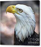 By The Light Of The Silvery Moon - Bald Eagle Canvas Print