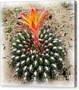 Cactus With Orange Flower Watercolor Effect Canvas Print