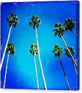 California Palm Trees Canvas Print