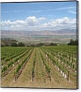 California Winery #wine #california Canvas Print