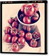 Campari Tomato Still-life #tomatoes Canvas Print