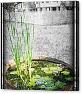 Cane Pot And Water Lily Canvas Print