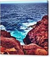 Cape Spear Canvas Print