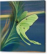 Card Of Luna Moth Canvas Print