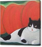 Cat And Pumpkins Canvas Print