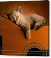 #cat #kitten #sleeping #guitar #cute Canvas Print