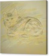 Cat Sketch 2 Canvas Print