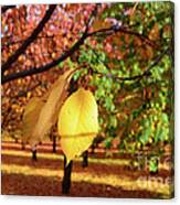 Cheery Tree Sheet Canvas Print