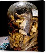 Preserved Snakes in a Jar Canvas Print
