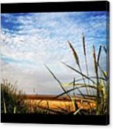 #cleethorpes #beach #sand #paraglider Canvas Print