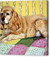 Cocker Spaniel On Quilt Canvas Print