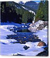 Colorado Mountain Stream Canvas Print