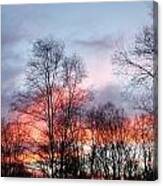 Colors Of Sunset Canvas Print