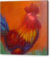Confident Rooster Canvas Print