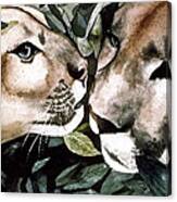 Cougar Kiss Canvas Print