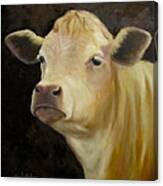 Cow Painting Of Bert Canvas Print