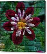 Crazy Flower Over Brick Canvas Print