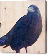 Crow Friend Canvas Print