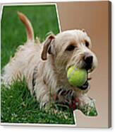 Cruz My Ball Canvas Print