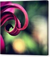 Curl For The #macro_power_hour Canvas Print