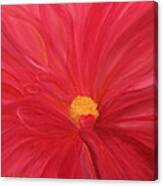 Dahlia Macro Canvas Print