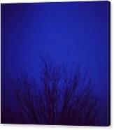 Day 13: Blue (evening Sky) #febphotoaday Canvas Print