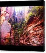 Deep In Oak Creek Canyon Arizona Canvas Print