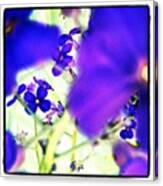 Deep Violets #abstract #android Canvas Print