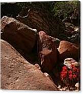 Desert Paintbrush Zion National Park Canvas Print