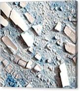 Disintegration Of Wilkins Ice Shelf Canvas Print