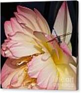 Dragonfly And Lotus Canvas Print